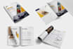 design professional brochure, business proposal, booklet