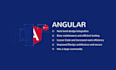 develop web app using angular and dot net