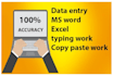 be your virtual assistant for data entry and copy paste
