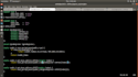 develop custom yocto linux, linux development, c, baremetal