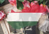 research your hungarian family tree