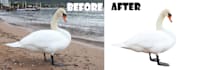 do 100 photos background removal