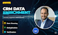 do professional data entry, data cleaning, data collection as a CRM data expert