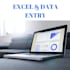 do data entry, create professional excel spreadsheets and  charts