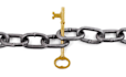 provide 1000 backlink