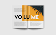 design a professional magazine layout design