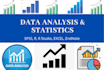 do statistical data analysis using spss, r, and excel