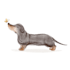 create cute pet illustration