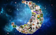 make a simple collage of given photos