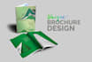 do professional brochure, flyer, booklet in 12 hours