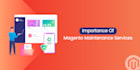 do development,  customization or anything in magento 1 and 2 website