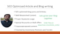 do SEO friendly article and blog writing for you