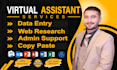 be your virtual assistant for data entry and web research
