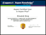 do  aspen plus simulations