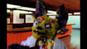 build weird puppet video