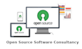 provide software consultancy services