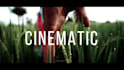 do professional video editing and motion graphics