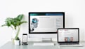 drupal 8 to 11 theme, site or module