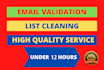 do bulk email verification, clean invalid spams in 12 hours