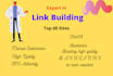 do high quality backlinks, link building manually