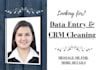 be your VA for data entry and data cleaning