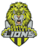 do professional embroidery digitizing in hours