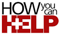 be your Virtual or Personal Assistant for 1 hour just