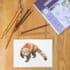 create animal watercolour illustration