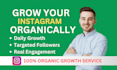 do super fast instagram organic growth manually