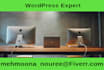 develop, design and redesign wordpress website