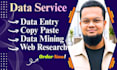 do excel data entry, web research, and copy paste work