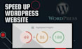 do wordpress speed optimization and mobile lighthouse score