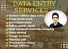 do any kind of data entry
