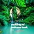 make multilingual airbnb welcome book
