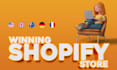setup micro niche shopify dropshipping store