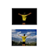 remove background from your photos
