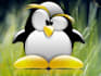 do your unix bash shell script assignment