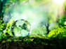 do articles in biology and environmental science