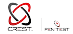 pentest your system and generate professional report with standards