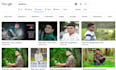 optimize and rank your images with advanced image SEO for google