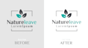 convert raster to vector logo with transparent background
