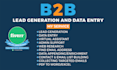 do b2b lead generation and data entry