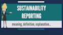 write sustainable report on environment, sdg and zero waste