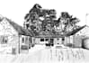 do black and white line art and digital illustrations