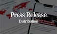 manually do press release submissions to 15 plus high PR sites