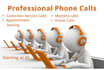 make professional phone calls for you
