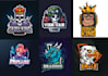 design a creative cartoon mascot logo for you
