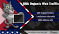 send adsense safe USA organic traffic, keyword targeted