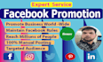 do facebook promotion for your business in USA
