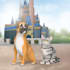 draw pet portrait into cartoon disney